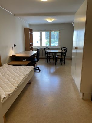 Möblerad 1:a Centralt - Foto 1