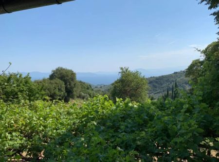Διαμέρισμα για ενοικίαση Κέντρο (Μηλιές) - Photo 2