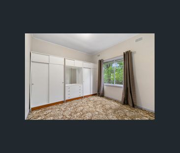 Live Central - Walk To It All! - Photo 4