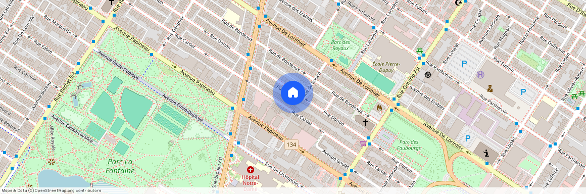 2252, Rue Dorion, app. 4, Montréal (Ville-Marie)