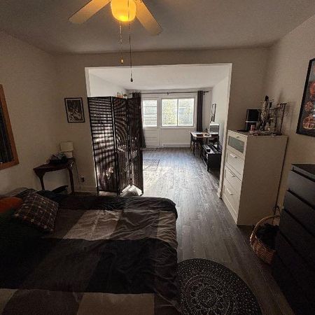 Superbe 3 1/2 - Photo 4