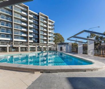 Modern One Bedroom Apartment in the Heart of Phillip - Photo 4