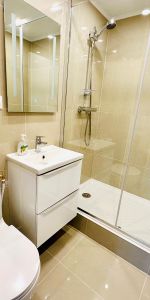 Location Appartement 1 pièce 38m² REIMS 51100 - Photo 3