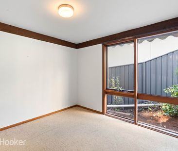 19A Kurralta Drive, Burnside SA 5066 - House For Rent | Domain - Photo 6