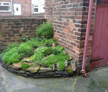 Pine Street, Langley Park, Durham, County Durham, DH7 - Photo 4