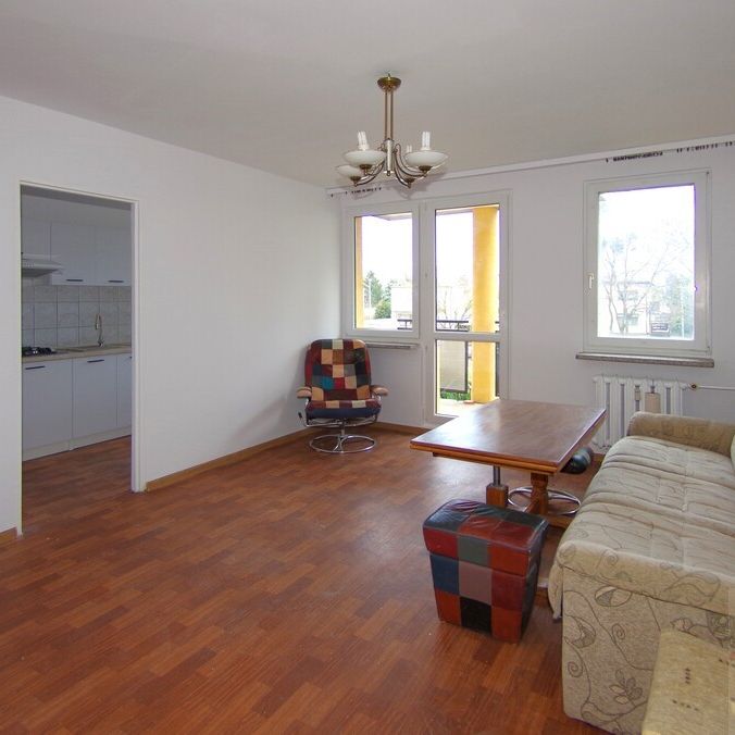 Wynajem, Gumieńce kawalerka z balkonem (437476) - Zdjęcie 1