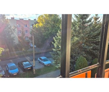 Mieszkanie dwupokojowe umeblowane Opole Wilsona - Photo 4