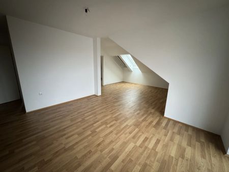3-Zimmer-Wohnung mit Balkon in der Steinfeldgasse! Unbefristet! - Photo 5