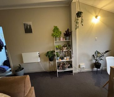 large 3 bedroom sunny apartment in Mt Vic - Photo 6