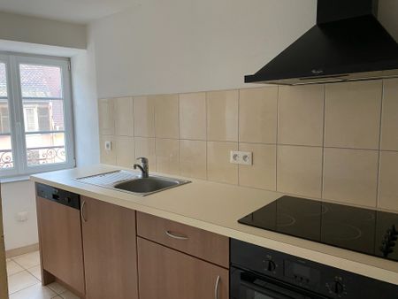Location Appartement 2 pièces 57m² ALTKIRCH 68130 - Photo 4