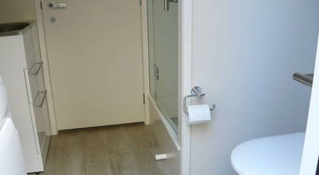 Great Location - Large Deck & View to Rangitoto! - Photo 4