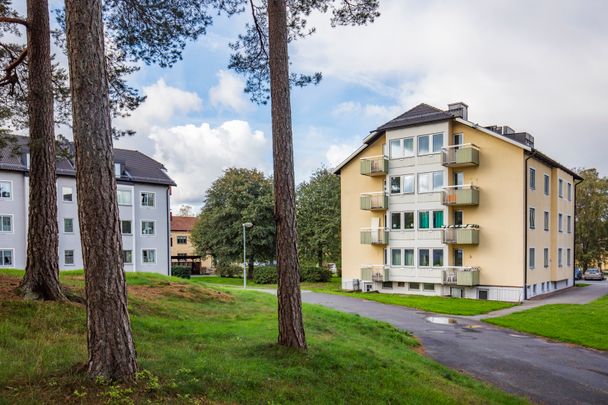 Allégatan, Anderstorp - Foto 1