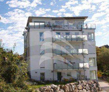 INN81: Helles 1-Zimmer Appartement in Uninähe - Photo 6