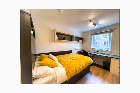 Shared apartments / Private studios / Festival Lets - Photo 3