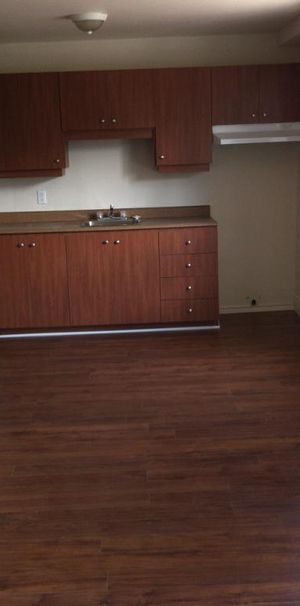 4½ à louer à Louiseville — disponible le 1er septembre - Photo 1