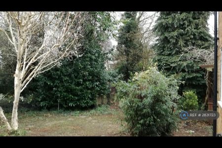 2 bedroom semi-detached house to rent - Photo 5