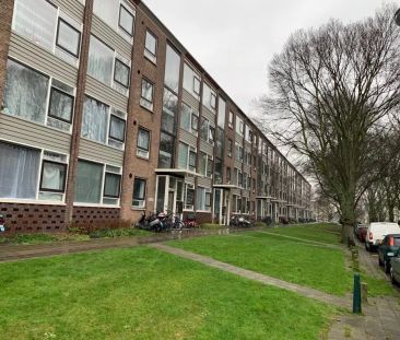 Appartement Nettelhorststraat, La Haye - Moerwijk - À Louer - Photo 3