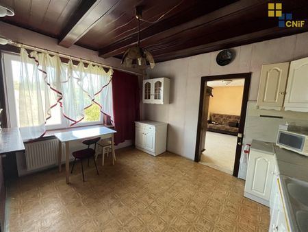 Konopiska, Aleksandria - Zdjęcie 4