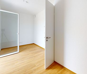 Einzigartiges Wohngefühl in Emmerich: Luxuriöse Neubauwohnung mit exklusiver Dachterrasse und Privatsphäre im 3. Obergeschoss! - Foto 1