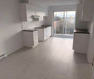 1310 Rue Bousquet - Photo 5