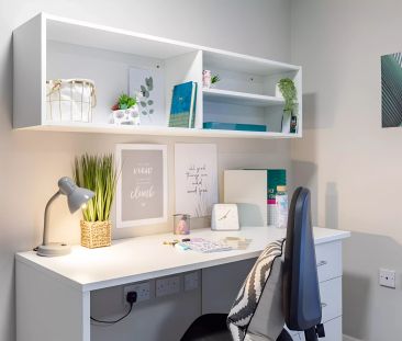 Premier Studio W/ Accessible Bathroom - Photo 2