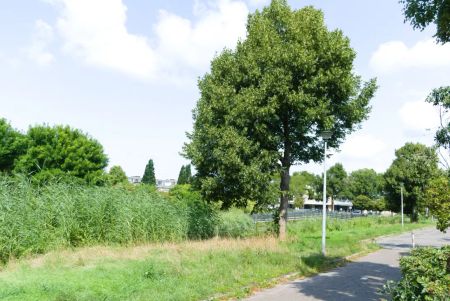 Oesdommerveen 12 - Foto 3