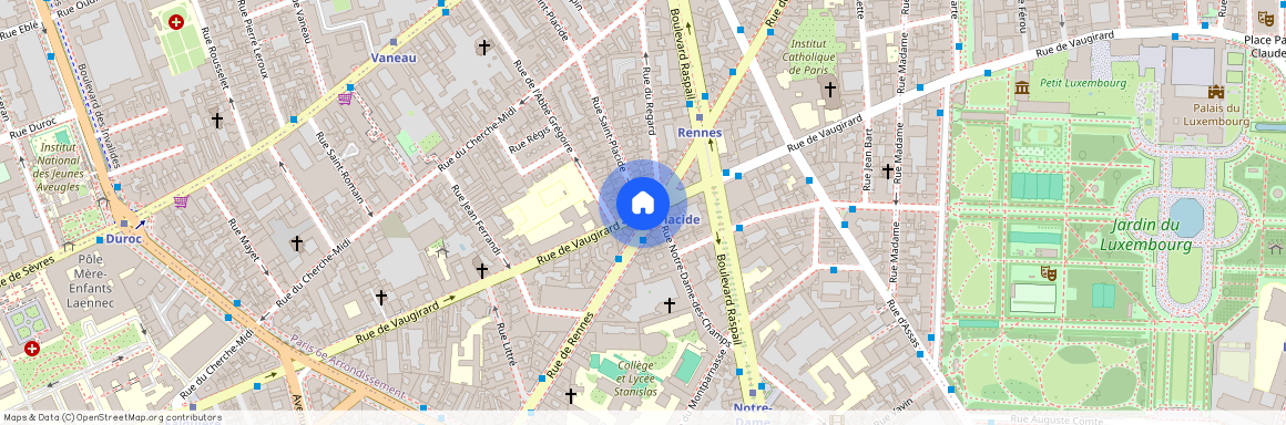 Rue Saint Placide et Rue de Vaugirard 75006 Paris (6e arrondissement)