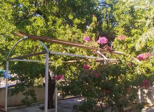 Μονοκατοικία για ενοικίαση - Σαλαμίνα, - Photo 2