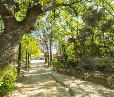 Gordes - Magnifique maison en pierre avec vue et piscine, à deux pa... - Photo 3