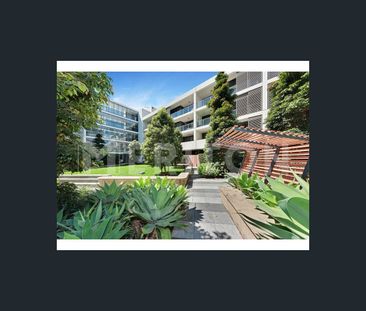 2B/5 Hutchinson Walk, Zetland, NSW 2017 - Photo 4