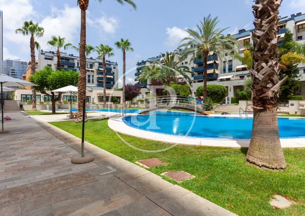 Flat for rent with swimming pool in Ciutat Jardí (Valencia)