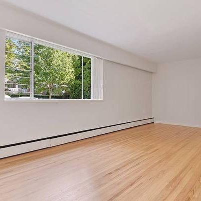 Pet Friendly Spacious Bright 1 bedroom available Feb 1! - Photo 1