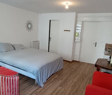 Location Appartement 1 pièce 24m² - Photo 4