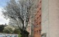 WFG | Na prenájom kompletne zrekonštruovaný a zariadený 1-izbový byt*VOĽNÝ IHNEĎ* - Fotografia 4