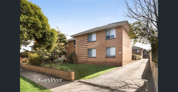 Recently Renovated - The Pick Of The Bunch. - Photo 1