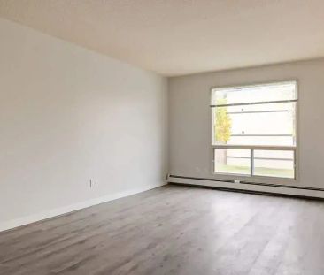 1 Bedroom - Photo 5