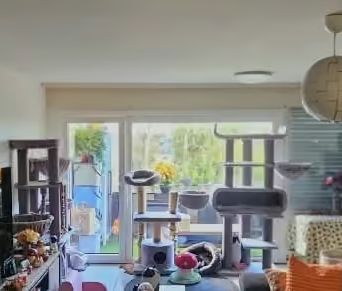 2.5 Zimmer, 56 m² - Foto 1