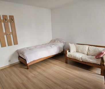 Appartement 1 pièce à Strasbourg - Photo 2