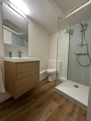 Location Appartement 2 pièces 36m² BLOIS 41000 - Photo 2