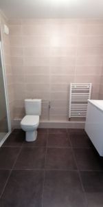 Appartement - RIXHEIM - 39m² - 1 chambre - Photo 3