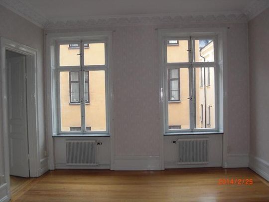 Turn of the century apartment with bathroom and kitchen renovated 2013 - Foto 1