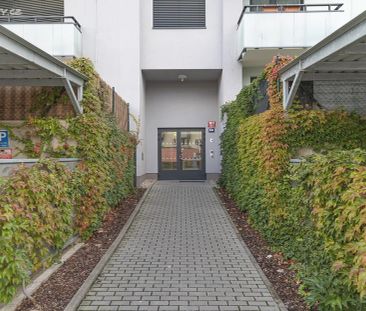 Pronájem bytu 1+kk 33 m² - Photo 3