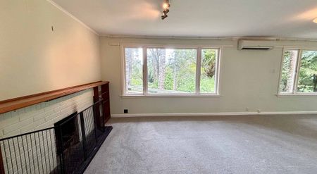 Tranquility in Titirangi - Photo 4