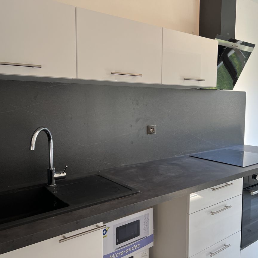 Location Appartement 2 pièces 47m² VILLERS LES NANCY 54600 - Photo 1
