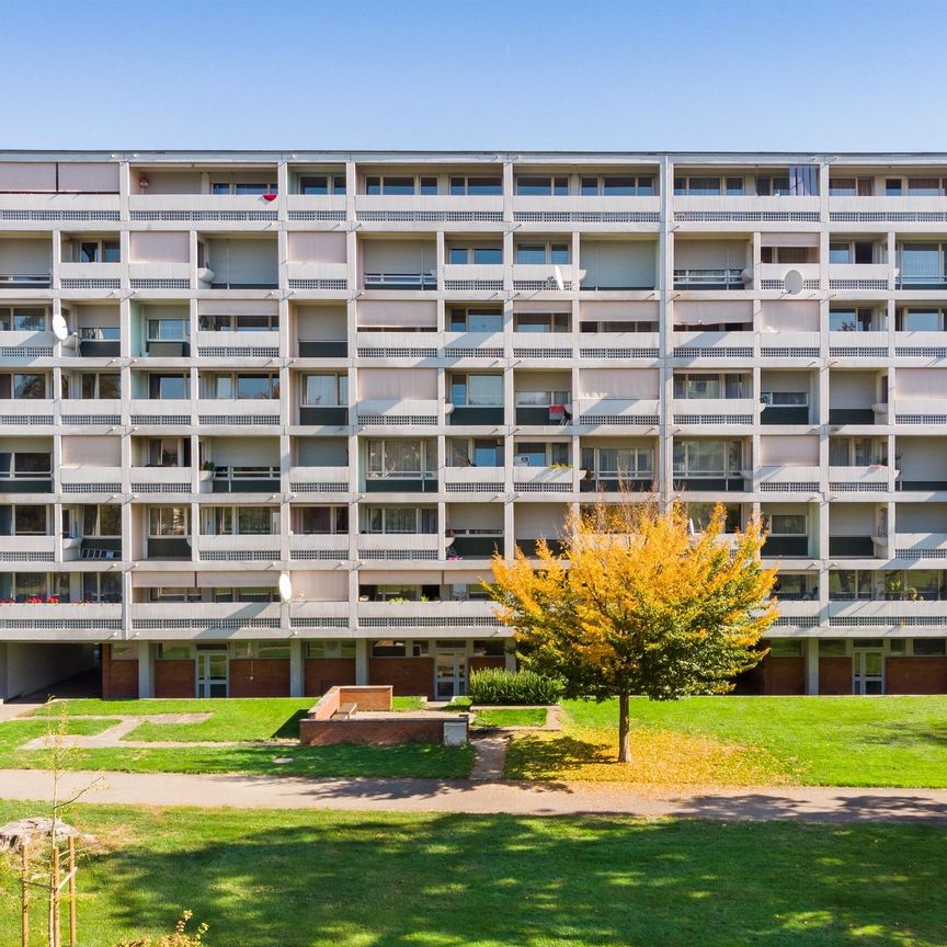 Looking for a family apartment? - Foto 1