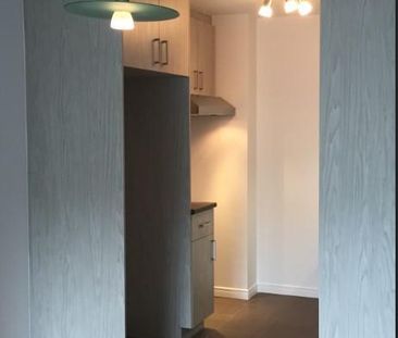 GRAND 3 ½ - ENTIÈREMENT RÉNOVÉ, 1165 $/MOIS TOUT COMPRIS! A PARTIR ... - Photo 4