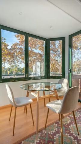 Passeig de Joan de Borbó, Barcelona, Catalonia 08003 - Photo 5