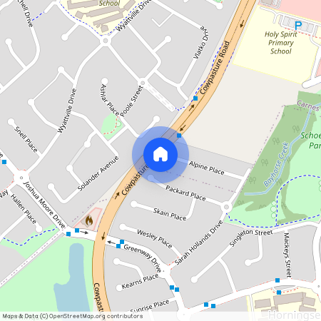 36 Alpine Place, NSW 2171, Carnes Hill