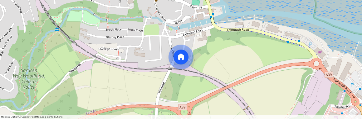 Hillside Meadow, Penryn