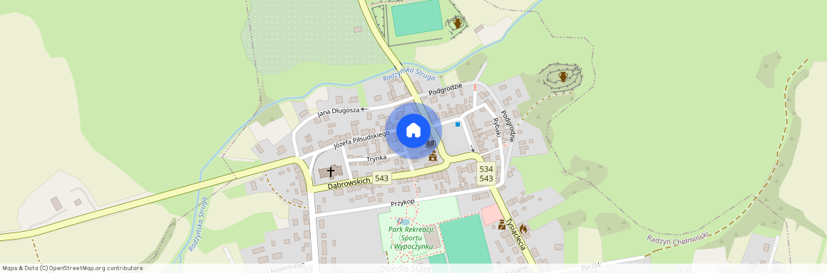 Radzyń Chełmiński